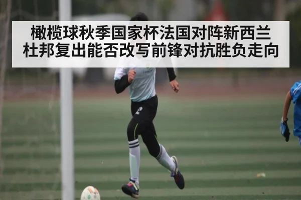 橄榄球秋季国家杯法国对阵新西兰 杜邦复出能否改写前锋对抗胜负走向
